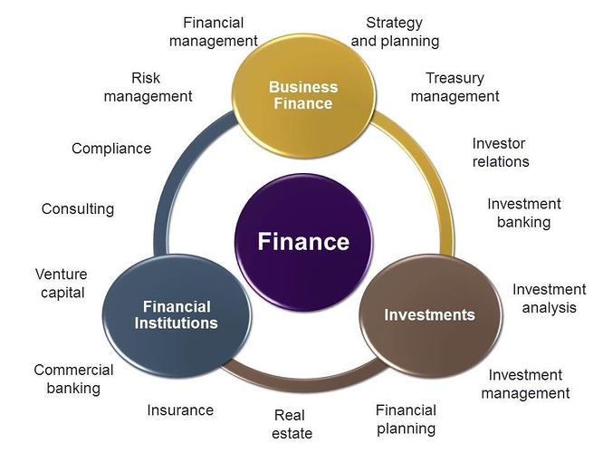 What is the Scope in the field of finance