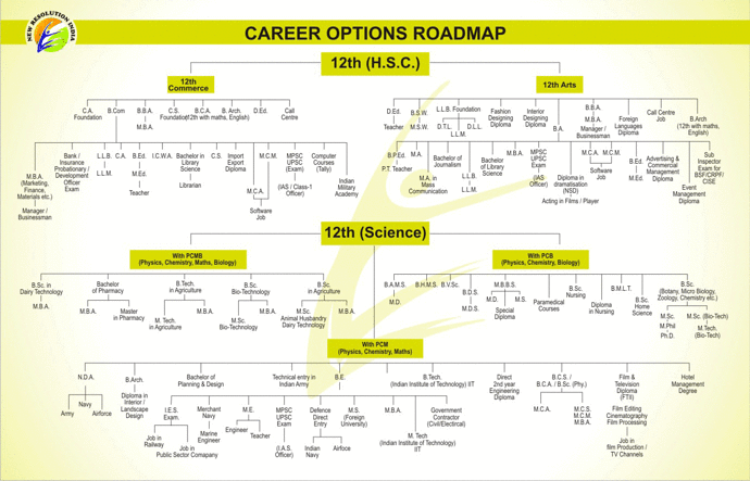 Which field should I go for after completing 12th with 70%?