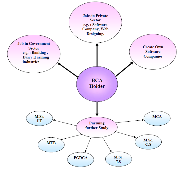 I Want Information About Mca And Msc Computer Science