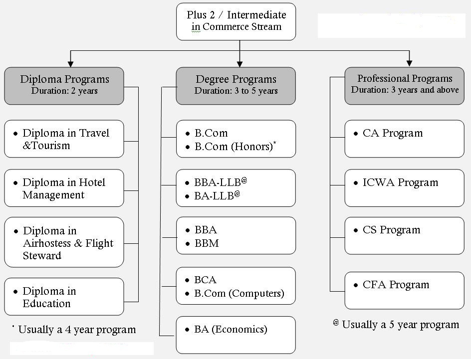 What Are The Career Option For Commerce With Infomatic Practice And Entrepreneurship Without Maths