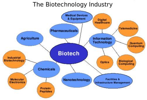 I am interested in biotechnology. I want to know about the job oppurtunities in india? I have completed my 12th standard